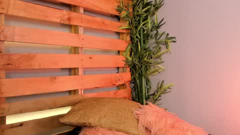 Merida  online show from January 24, 4:06 pm