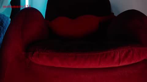 Snapshot of metamorfe333 chatting on December 1, 10:37 pm Mor online show from December 1, 10:37 pm