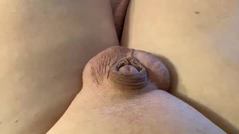 Snapshot of mewade chatting on January 28, 7:21 pm Wade online show from January 28, 7:21 pm