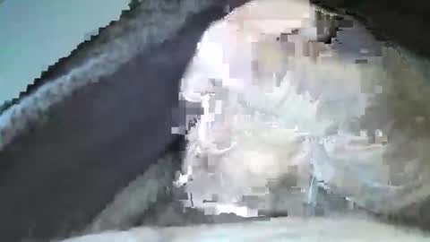 Snapshot of mexianthehawk chatting on September 14, 10:09 pm mexianthehawk online show from September 14, 10:09 pm