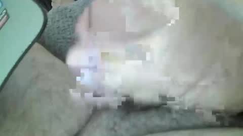 mexianthehawk online show from March 14, 5:02 am