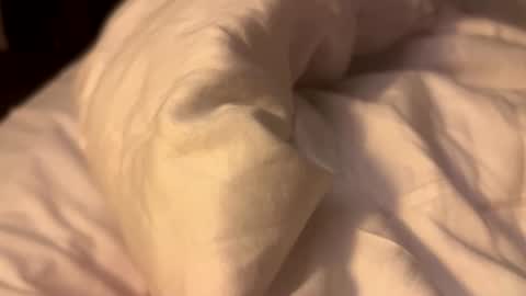 mezo2222 online show from February 6, 11:08 pm