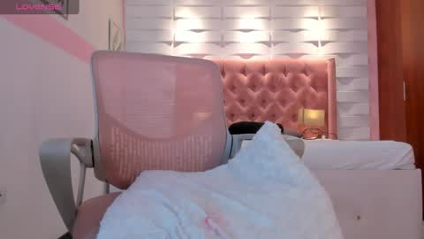 Snapshot of mhellissaw chatting on January 3, 7:38 am melissa online show from January 3, 7:38 am