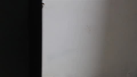 Snapshot of mia_sepulveda chatting on January 22, 4:02 am Mia Sepulveda online show from January 22, 4:02 am