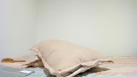 Snapshot of mia_xxx__ chatting on October 16, 5:03 pm MIA INDEPENDENT MODEL online show from October 16, 5:03 pm