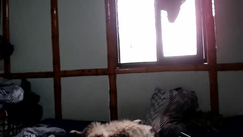Snapshot of miahells chatting on October 4, 4:05 pm Mia Sam online show from October 4, 4:05 pm