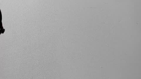 mia online show from October 12, 12:37 pm