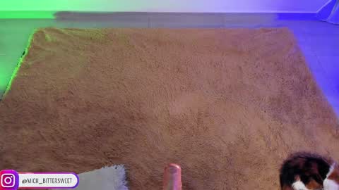 Snapshot of mich_bittersweet chatting on January 29, 10:11 pm online show from January 29, 10:11 pm