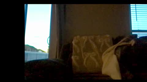 Snapshot of michaelt483 chatting on February 21, 11:06 pm michaelt483 online show from February 21, 11:06 pm