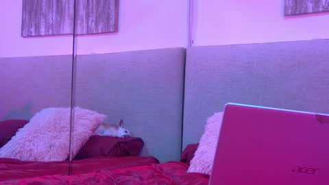 Mickey online show from November 27, 4:25 am