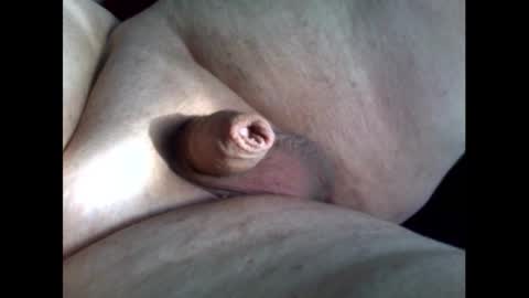 micropimmel online show from September 11, 4:51 pm