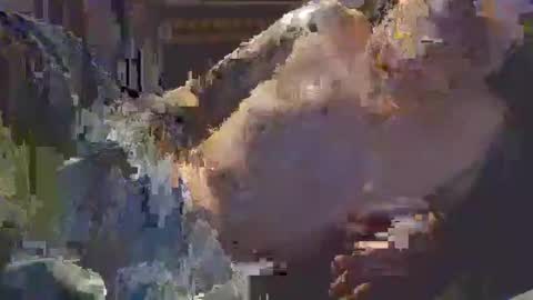 middle123456783939 online show from September 11, 6:52 pm