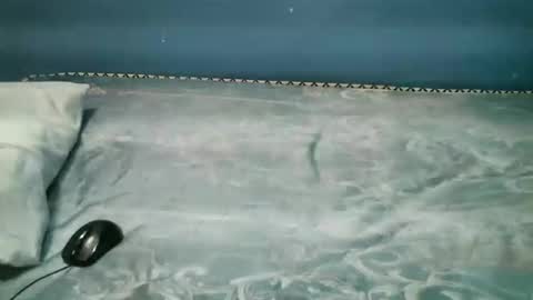 Caddy online show from November 1, 8:00 pm