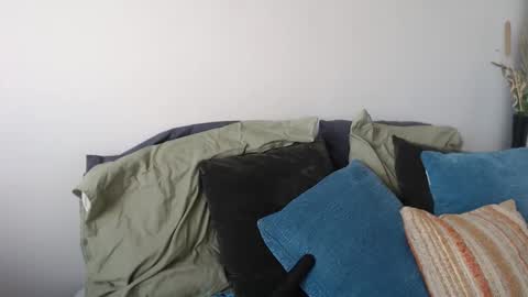 MidsummerNightsDream online show from January 5, 5:27 pm