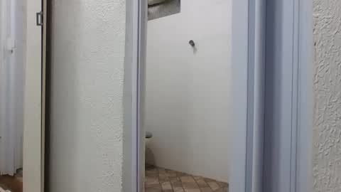 mike11343 online show from March 6, 5:53 pm