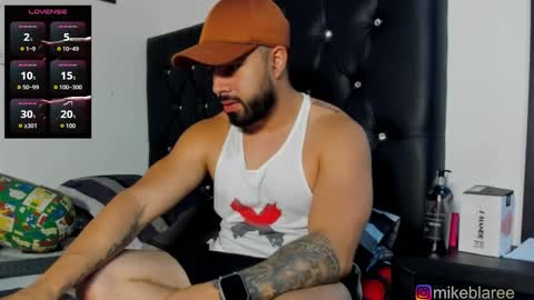 Snapshot of mikeblaree chatting on January 17, 5:05 pm mikeblaree online show from January 17, 5:05 pm