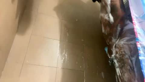 Snapshot of mikeyblunt chatting on February 25, 1:28 pm mikeyblunt online show from February 25, 1:28 pm