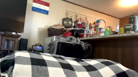 Snapshot of mikeylikesit2222 chatting on September 25, 8:23 pm mikeylikesit2222 online show from September 25, 8:23 pm