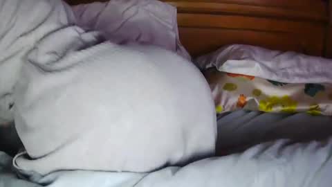 MilfyTitts online show from October 16, 12:39 pm