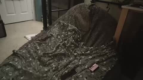 milky479 online show from March 9, 8:40 am