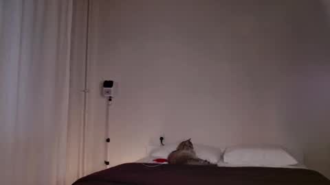 Snapshot of milky__way_ chatting on October 5, 3:10 pm milky__way_ online show from October 5, 3:10 pm