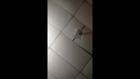 miloanj online show from November 7, 4:45 am