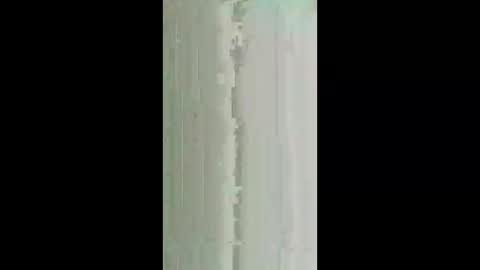 milsy002 online show from February 3, 3:04 am