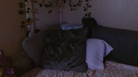 Mindy online show from February 19, 10:33 am