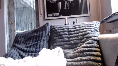 Snapshot of miracolix_030 chatting on February 10, 9:02 am Ben online show from February 10, 9:02 am