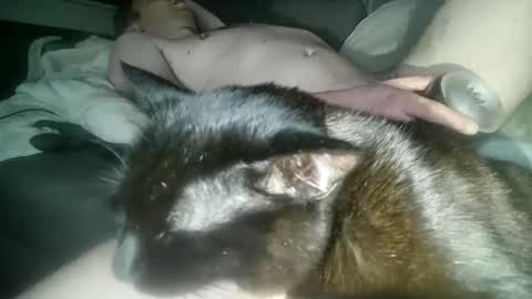 Snapshot of mirtoblack chatting on October 17, 1:53 am mirtoblack online show from October 17, 1:53 am