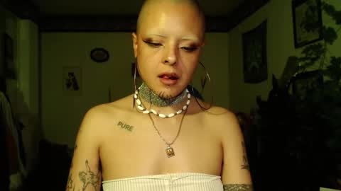 Snapshot of missanarky chatting on December 19, 12:17 am Anarkitten online show from December 19, 12:17 am