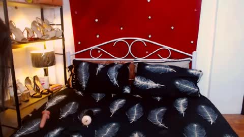 missdominantbigcockx online show from June 24, 11:53 am