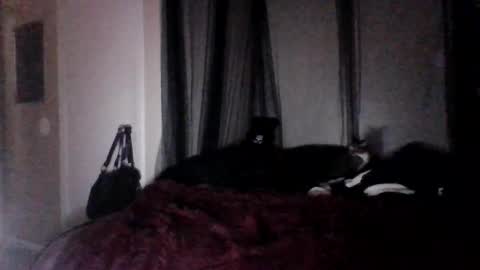 missgospel online show from February 27, 2:21 am