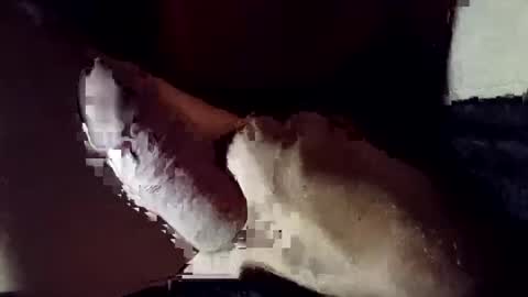 9POUNDHAMMER online show from April 27, 5:16 am