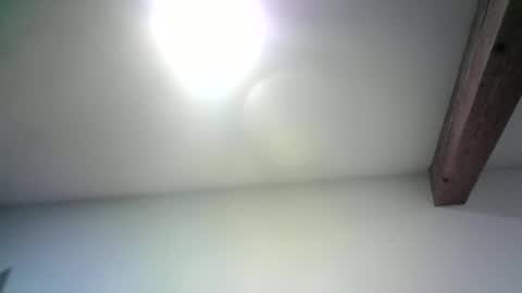 Snapshot of mister_happy567 chatting on October 1, 5:13 am Mr. Happy online show from October 1, 5:13 am