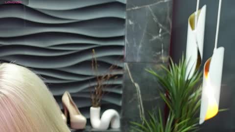 Darsy online show from February 18, 1:44 pm