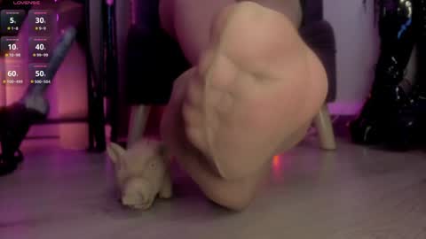 Jhadee online show from January 13, 12:30 am