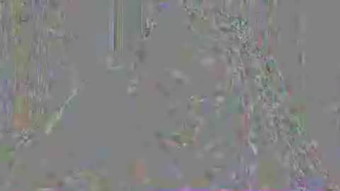 Mistress Mystii online show from July 3, 3:02 am