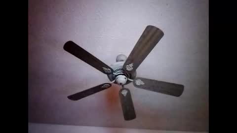 Snapshot of mitchnails69 chatting on December 15, 7:24 am BobbyMitchGa online show from December 15, 7:24 am