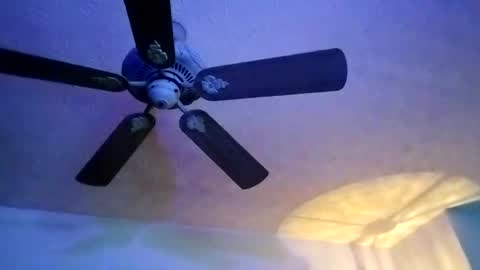 Snapshot of mitchnails69 chatting on February 10, 7:04 am BobbyMitchGa online show from February 10, 7:04 am