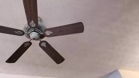 Snapshot of mitchnails69 chatting on February 23, 3:40 pm BobbyMitchGa online show from February 23, 3:40 pm