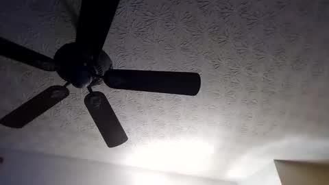 Snapshot of mitchnails69 chatting on September 18, 10:28 am BobbyMitchGa online show from September 18, 10:28 am