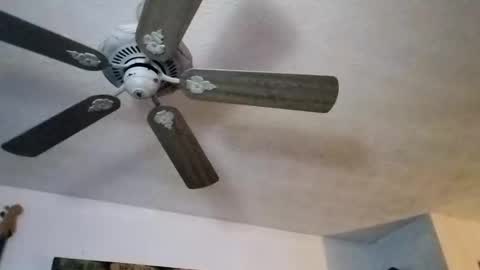 Snapshot of mitchnails69 chatting on September 27, 12:10 pm BobbyMitchGa online show from September 27, 12:10 pm