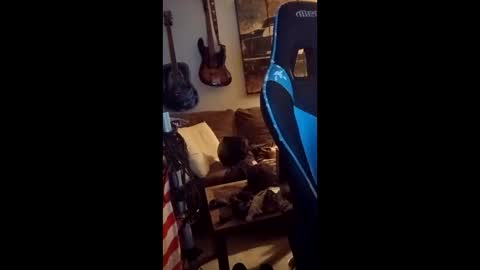 Snapshot of mitchnails69 chatting on April 11, 9:35 am BobbyMitchGa online show from April 11, 9:35 am