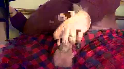 mnguy19726969 online show from December 18, 6:25 pm