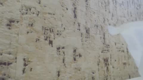 Snapshot of mohito200711 chatting on January 21, 10:41 am Mohito200711 online show from January 21, 10:41 am