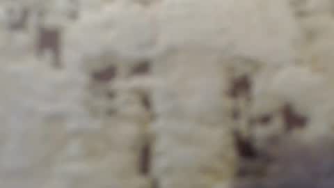 Snapshot of mohito200711 chatting on September 12, 6:35 am Mohito200711 online show from September 12, 6:35 am