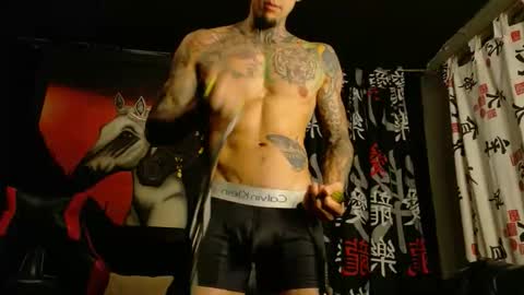 Snapshot of molotov_explosive chatting on November 9, 1:04 am Molotov online show from November 9, 1:04 am