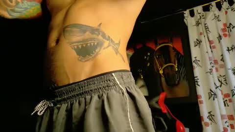 Snapshot of molotov_explosive chatting on November 19, 9:15 pm Molotov online show from November 19, 9:15 pm