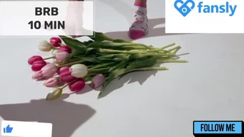 Snapshot of mommy_cum chatting on December 26, 2:12 am Mommy online show from December 26, 2:12 am